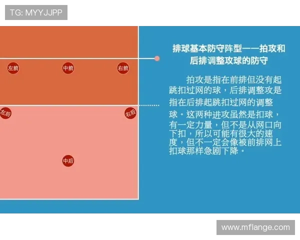 武汉排球队进攻战术分析与球队表现的深度解读 武汉排球队进攻战术分析与球队表现的深度解读