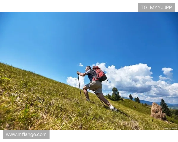 王军独家分享飞盘技巧与心得体会助你轻松掌握这项运动的乐趣与魅力 王军独家分享飞盘技巧与心得体会助你轻松掌握这项运动的乐趣与魅力