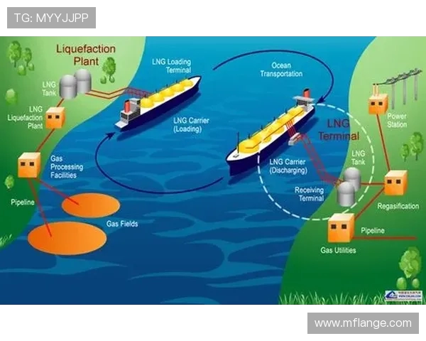 LNG战队近期表现分析与未来发展方向的深度探讨