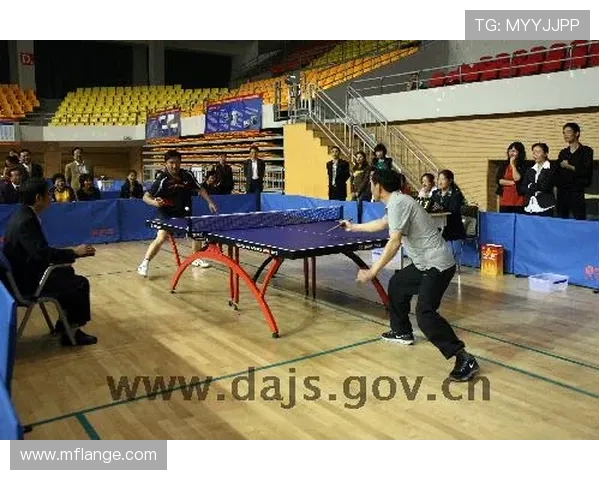 南京乒乓球队在城市联赛中的技术表现分析与点评